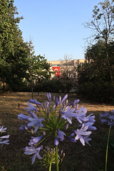 Çiçekli Türk bayrağı